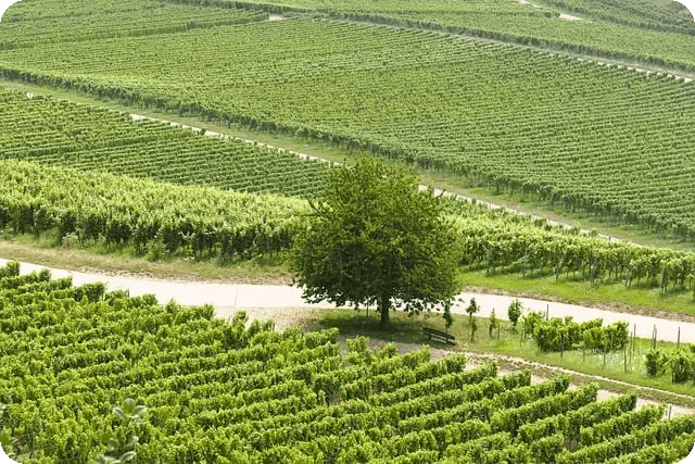 전원 버튼의 신비 이면의 과학은 무엇일까