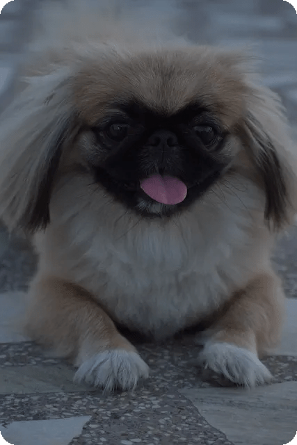 알 수 없는 프로그램 설치 PUP 제거 방법 정리