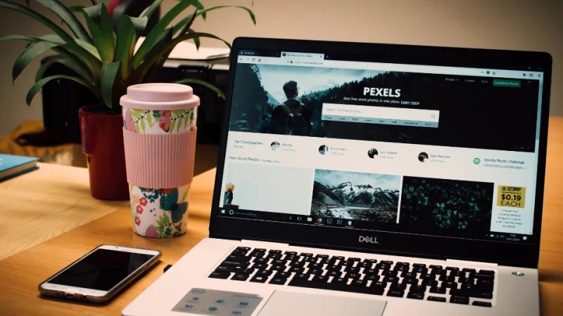 Website development and SEO services