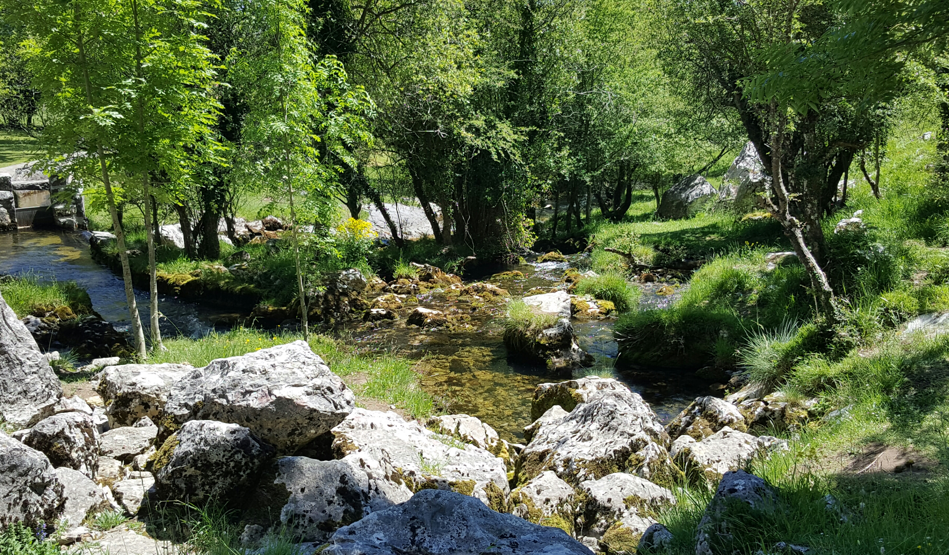 20170525_181124
