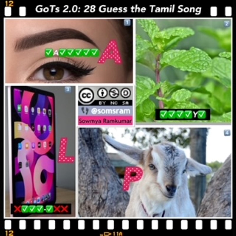 Gots2.28