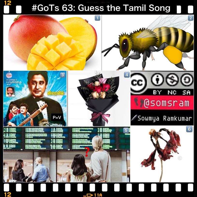 Gots63
