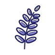Ilustração Lavanda - Ervas e Banhos na Umbanda.