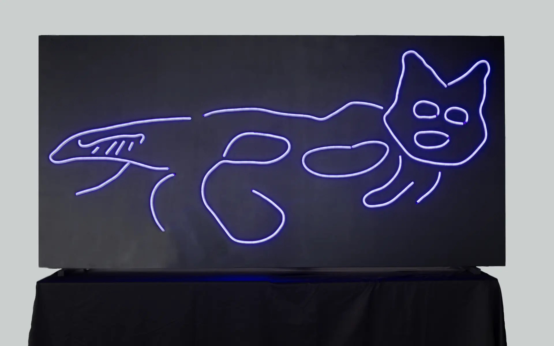Glow cat