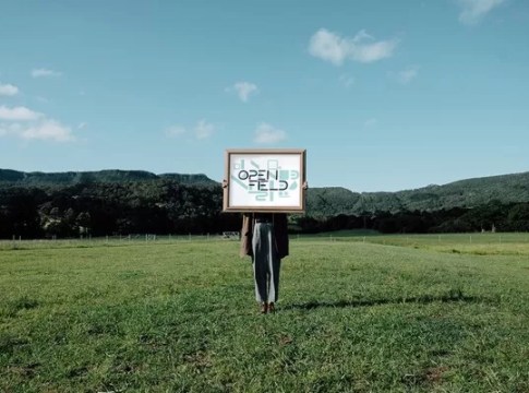 OpenField Arts Festival