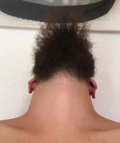 bearded men looking up