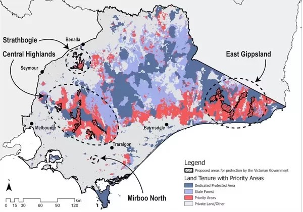 Here you can see the Immediate Protection Areas (hatched areas) compared to the areas which we actually need to be protected (red), across the forests of eastern Victoria. Chris Taylor, Author provided