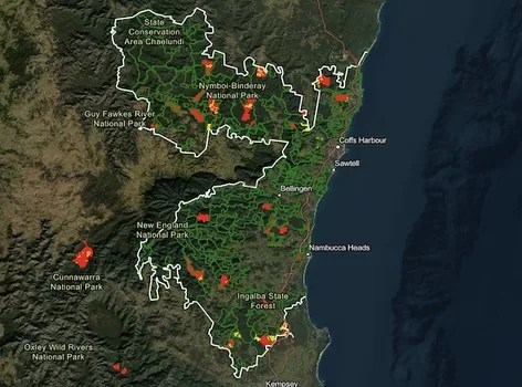 Interactive map of logging in NSW