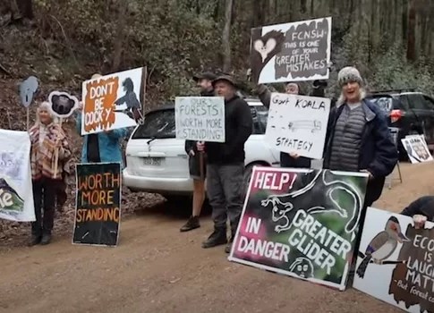 Mistake State Forest protest 1 July 2024