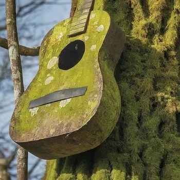 Old guitar nesting box