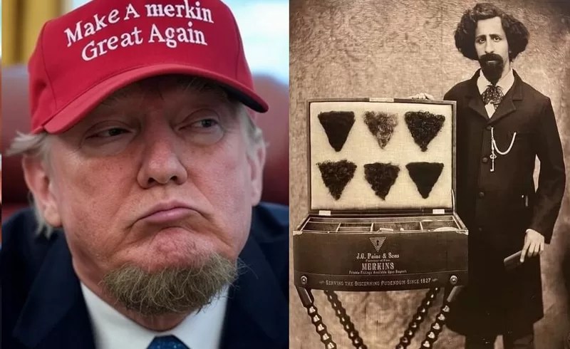 "Make A merkin Great Again" What is a merkin?