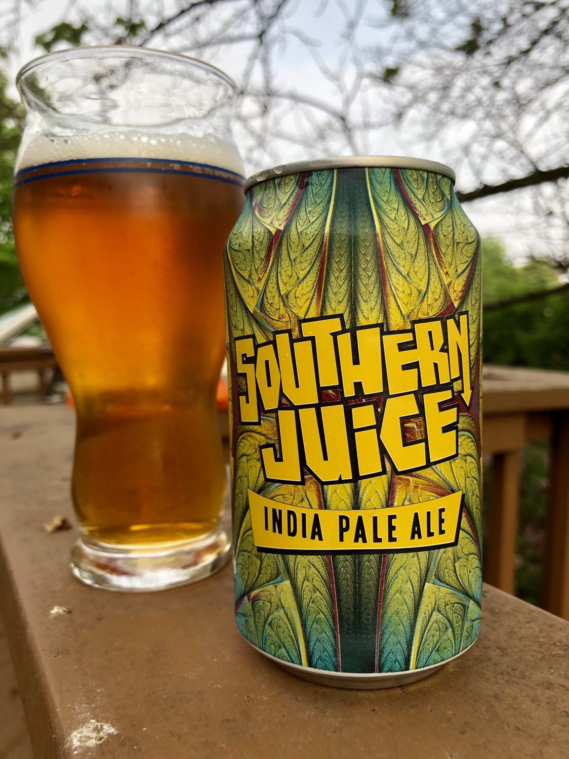 901. Jekyll Brewing Southern Juice IPA 1000 Beers