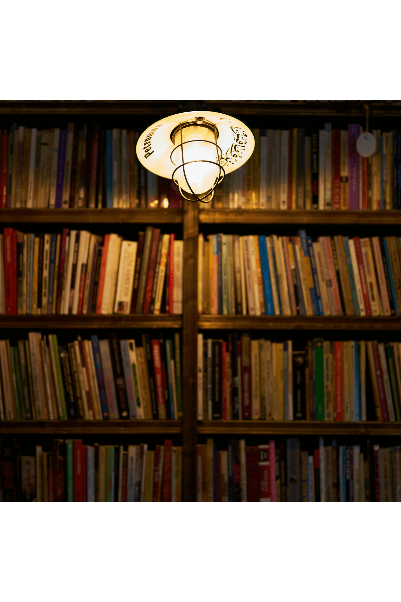 Learning through reading