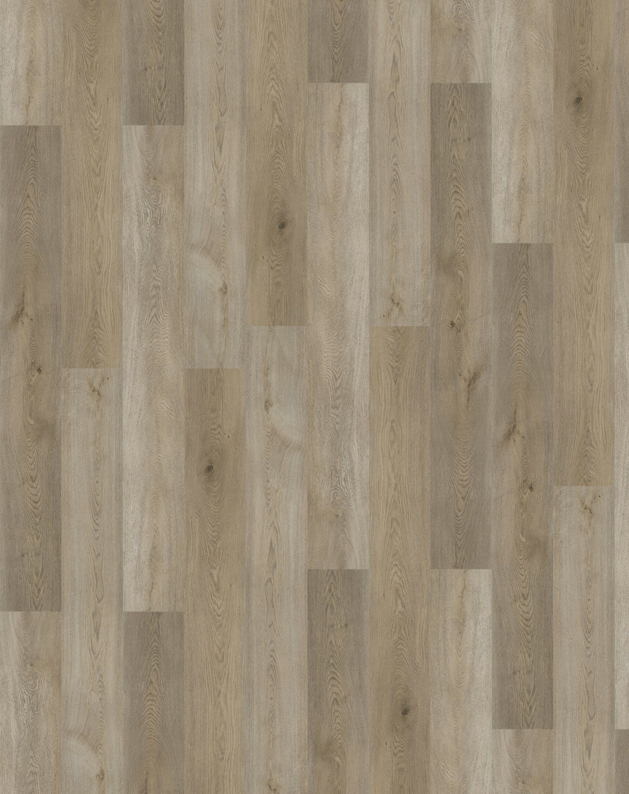 Athena Gaia eTerra Black Series SPC, GA10857