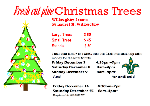 Don T Stress About What Kind Of Christmas Tree To Buy But Reuse Artificial Trees And Compost Natural Ones Opinion Eco Business Asia Pacific