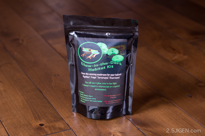 Glow in the Dark Mushroom Log (panellus stipticus) Growing Habitat Kit