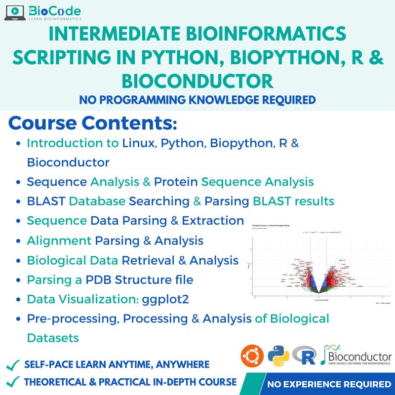 Intermediate Bioinformatics Scripting In Python Biopython R - Download Gorgeous Gradient Texture | Retina