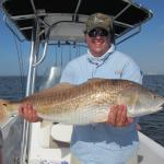Flu Redfish