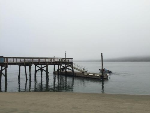 mac-dock
