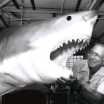 Jack Shark