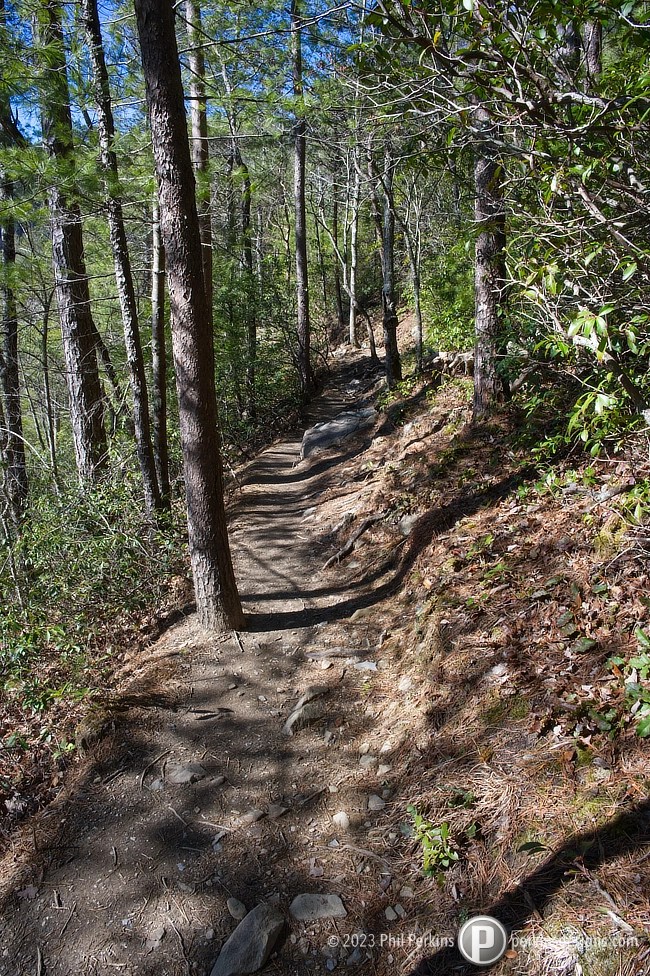 Photograph of trail to Spruce Flats Falls in the Smoky Mountains