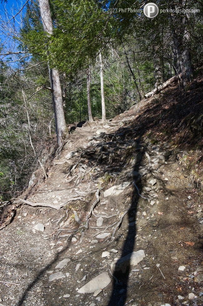 Photograph of trail to Spruce Flats Falls in the Smoky Mountains
