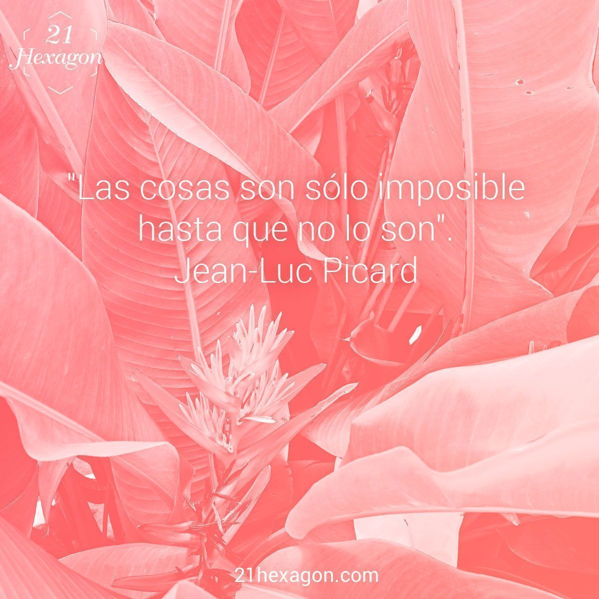 quotes_21hexagon_49.jpg