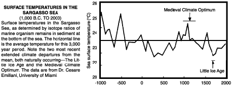 Surface temperatures in the Sargasso Sea