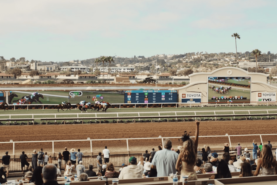 Top Stakes Race Previews