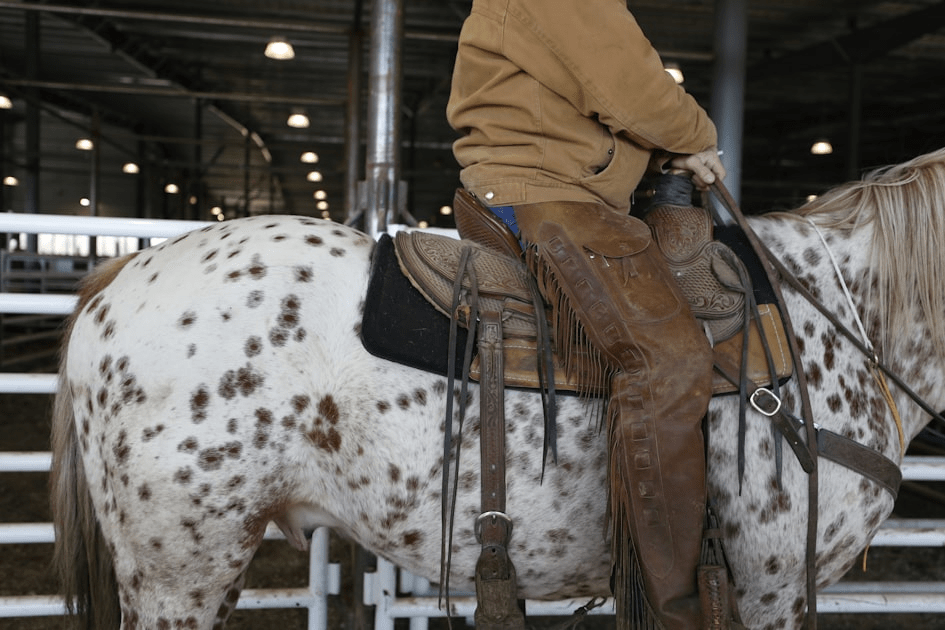 The All American Futurity Explained