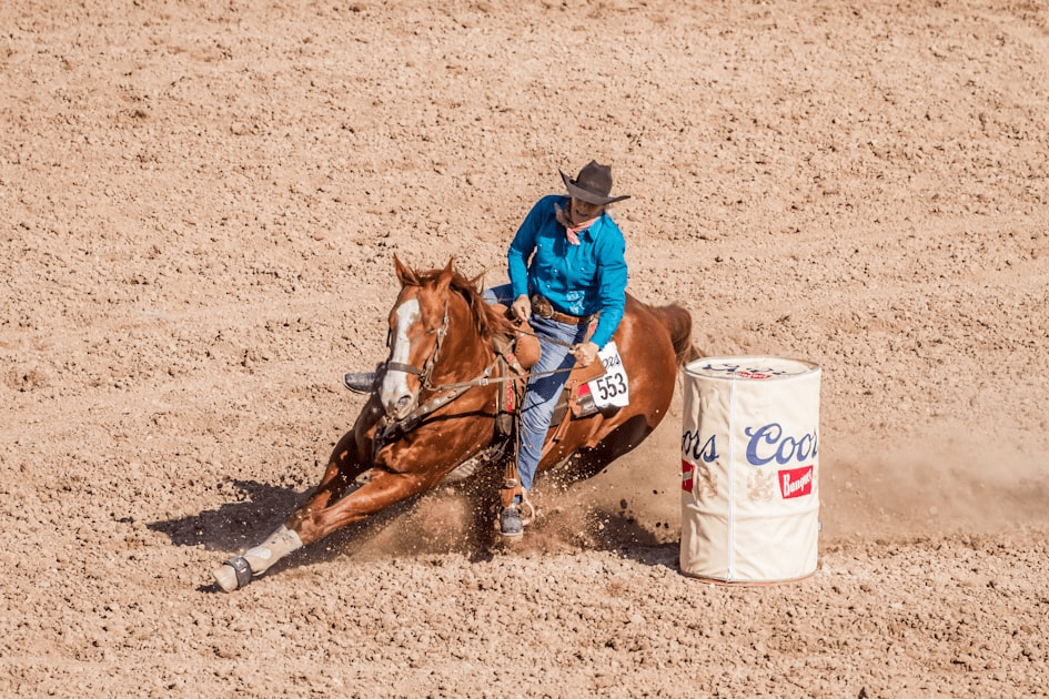 Understanding Quarter Horse Racing