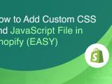 How To Add Custom Css And Javascript In Shopify Easy 22bulbjungle
