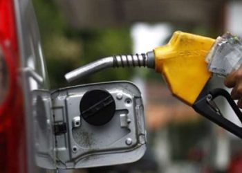 Petrol and diesel prices from July to November 1, 2022 [Infographic]