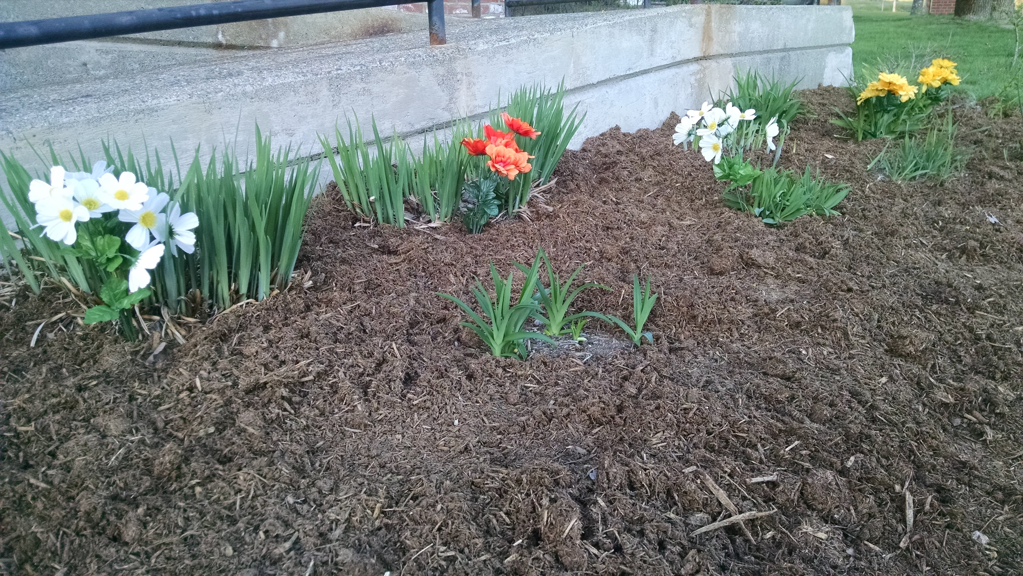 City of Ontario Hosting Mulch Giveaway June 9th