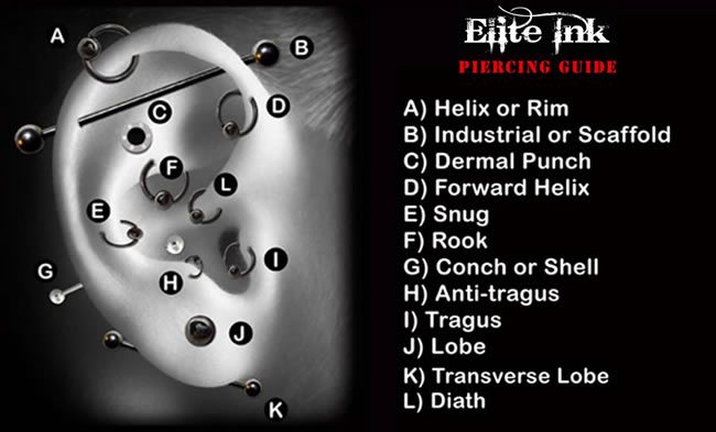 Piercings Archives Professional Tattoos Southeast Michigan