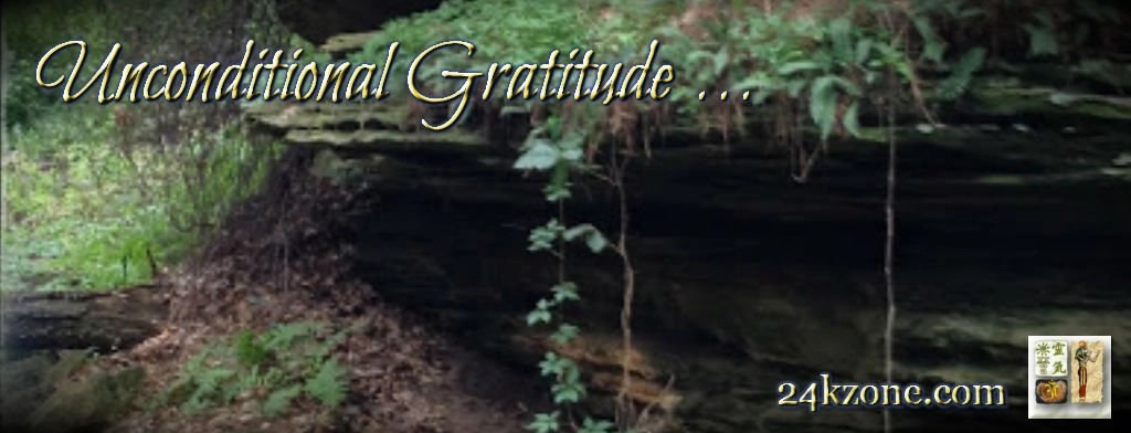 Unconditional Gratitude