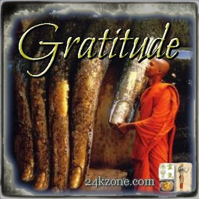 Gratitude