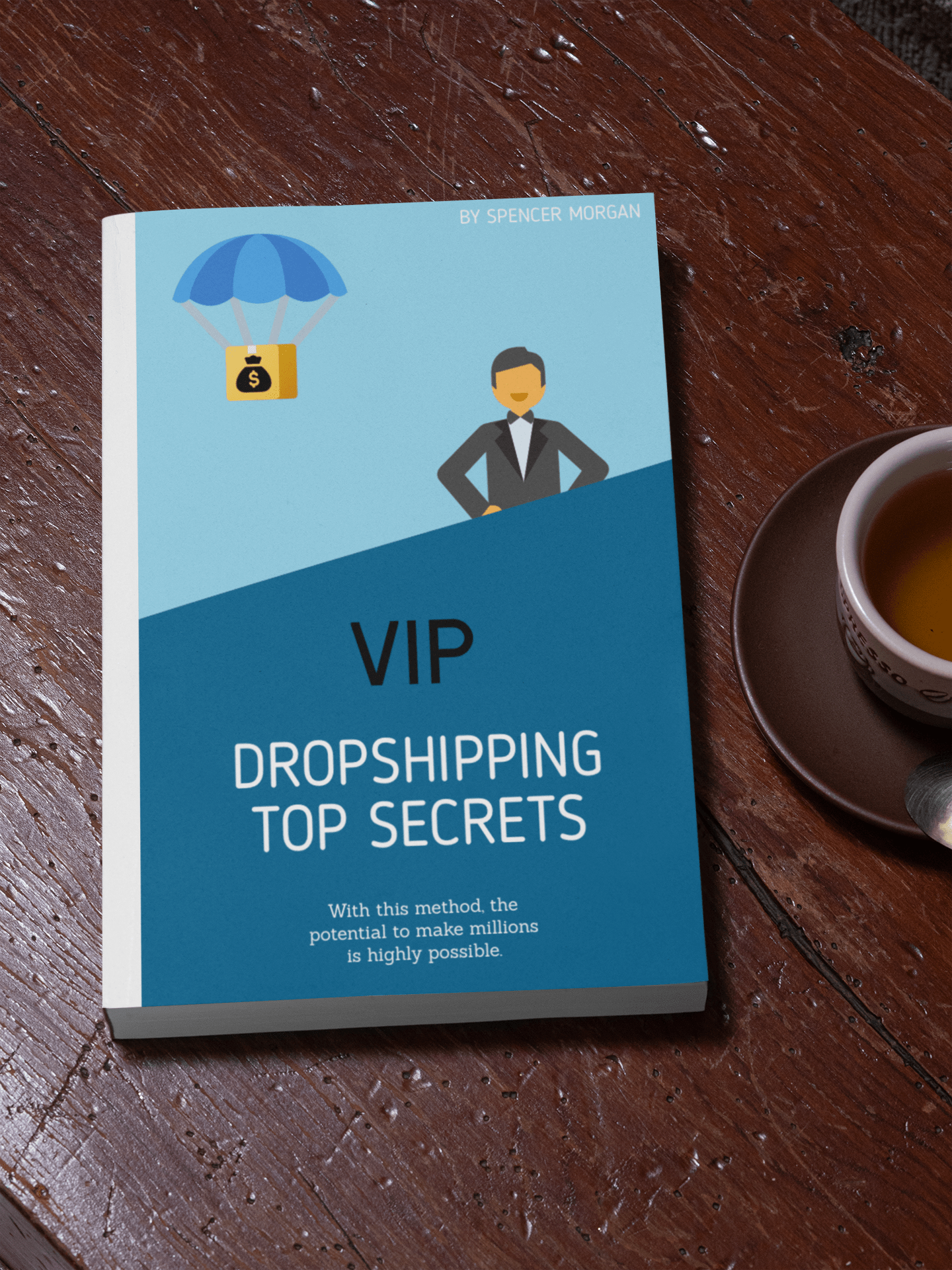VIP Dropshipping Top Secrets revealed!