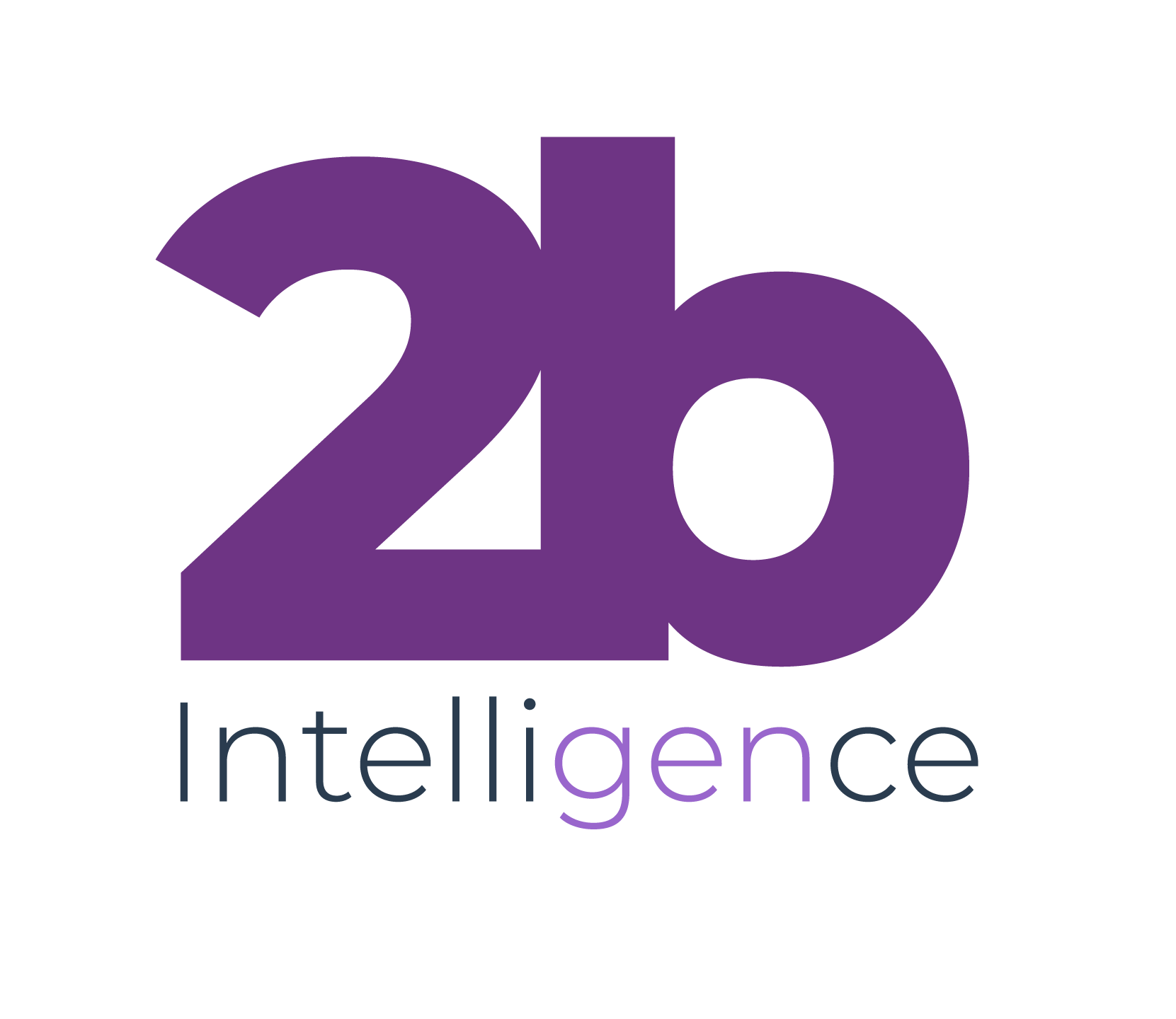 2b Intelligence Logo