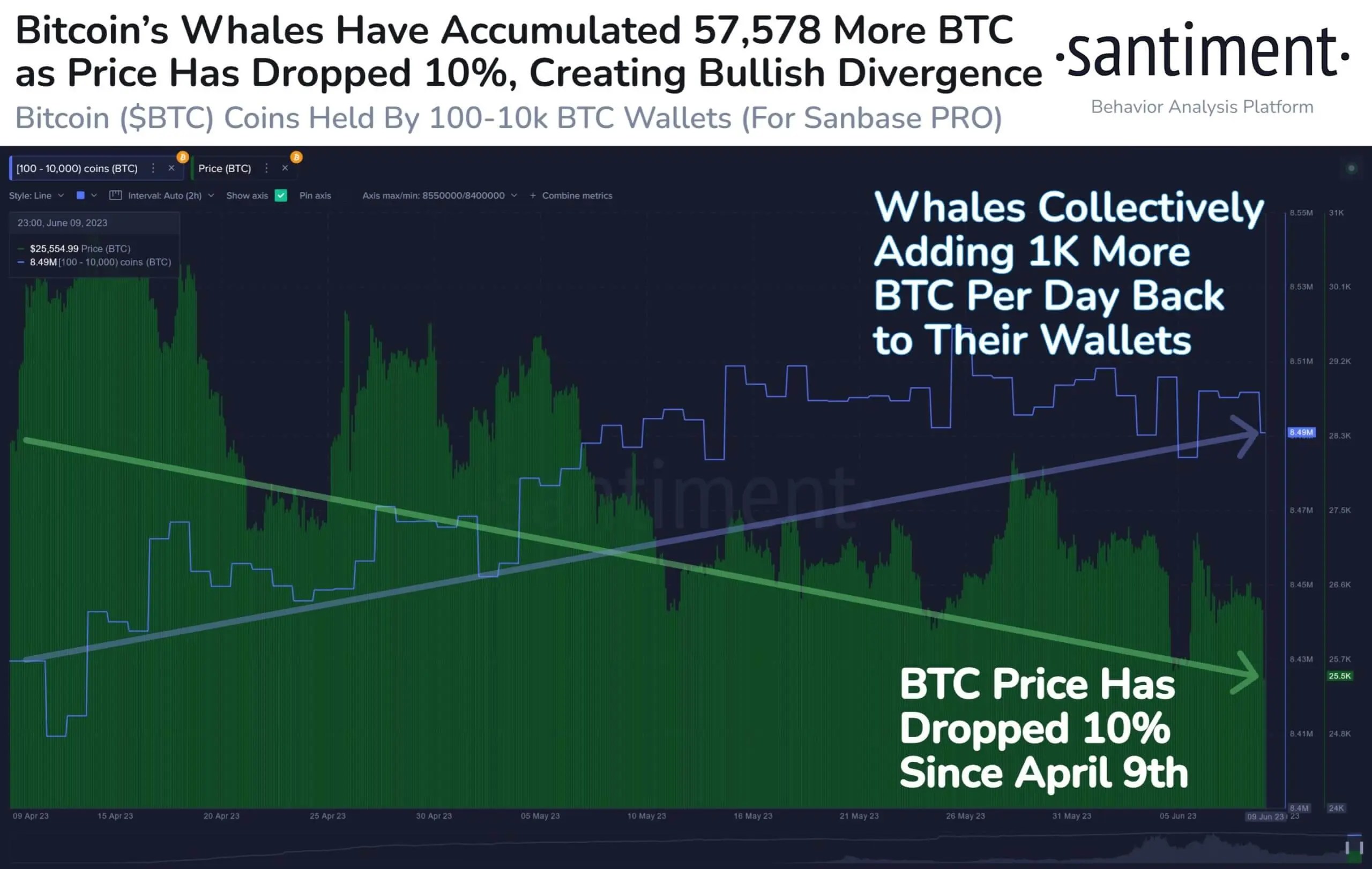 Les mineurs de Bitcoin vendent des pièces. L'augmentation du nombre de BTC sur les portefeuilles de baleines. Les mineurs de Bitcoin vendent des pièces. L'augmentation du nombre de BTC sur les portefeuilles de baleines. Photo.