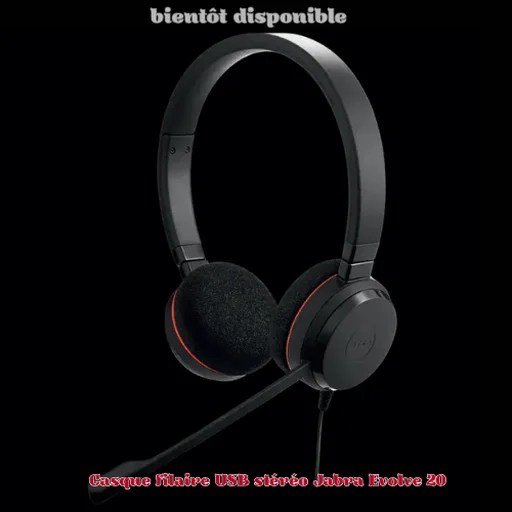 Jabra Evolve 20 Casque filaire USB stéréo supra-auriculaire avec micro antibruit pour PC et réunions en ligne