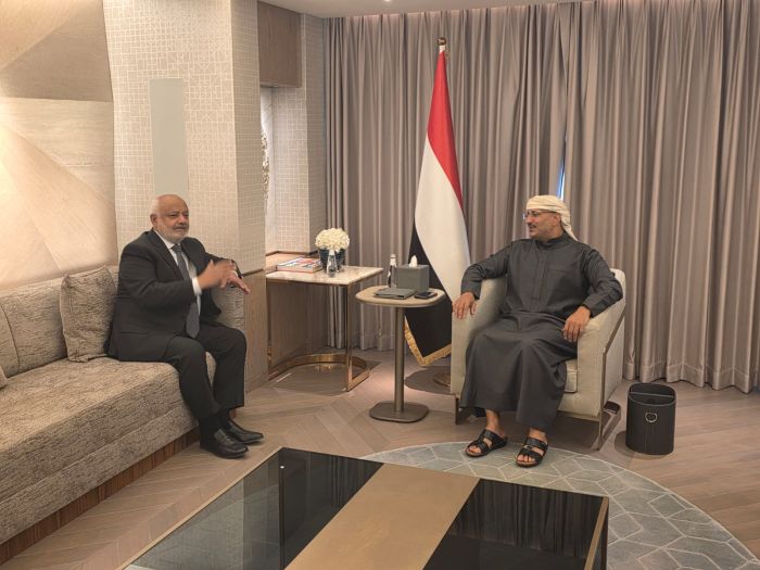 طارق صالح يناقش مع محافظ الحديدة أوضاع المناطق المحررة بالمحافظة