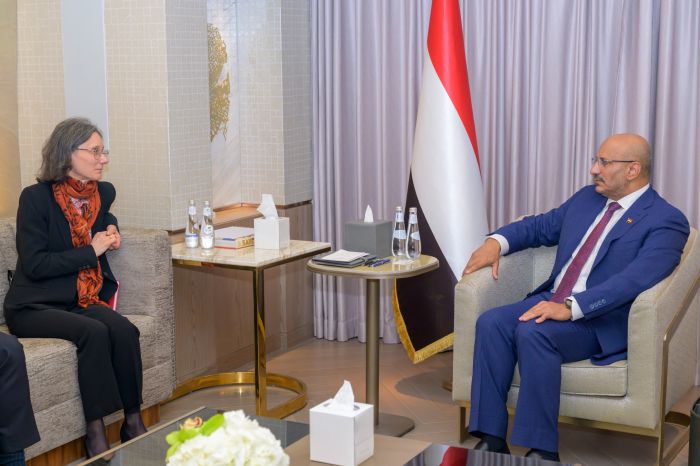 طارق صالح يبحث مع السفيرة الفرنسية جهود تثبيت الاستقرار وأمن الملاحة الدولية