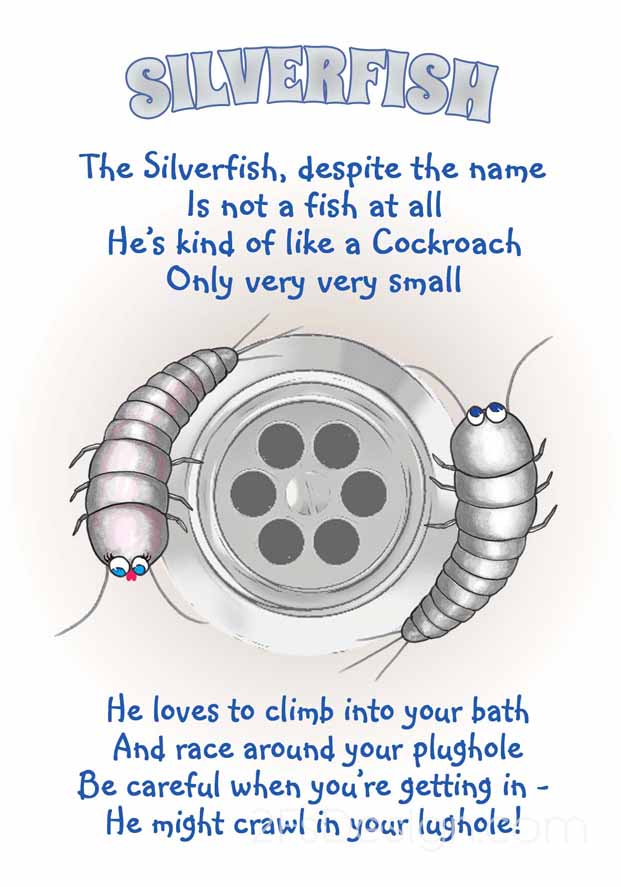 Fish 'n' Quips - Silverfish