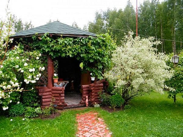 Летняя кухня с верандой: интересные проекты