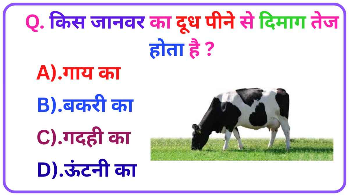 General Knowledge: किस जानवर का दूध पीने से दिमाग तेज होता है ?