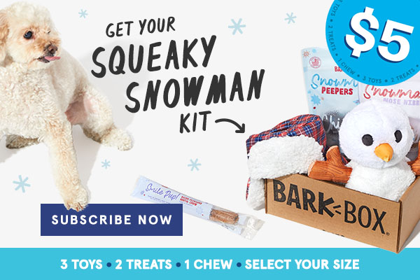 barkbox snowman