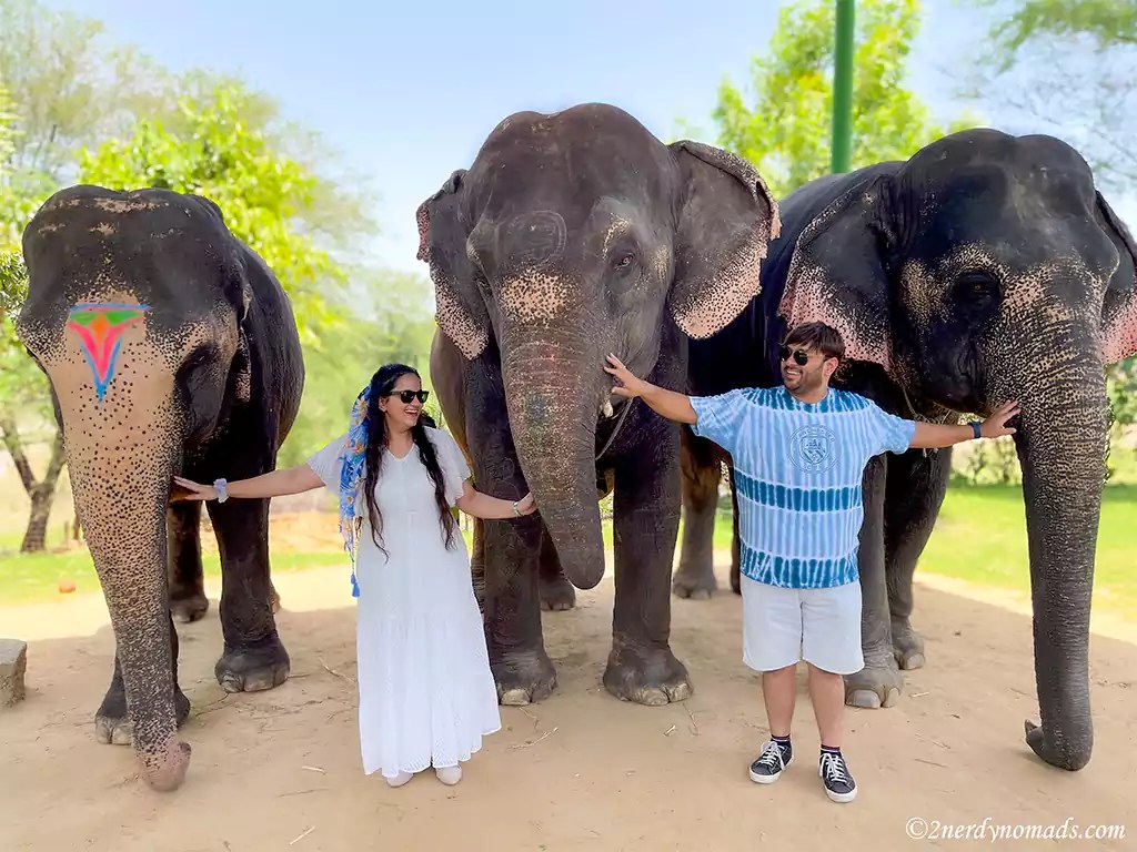 unique things to do in Jaipur with friends