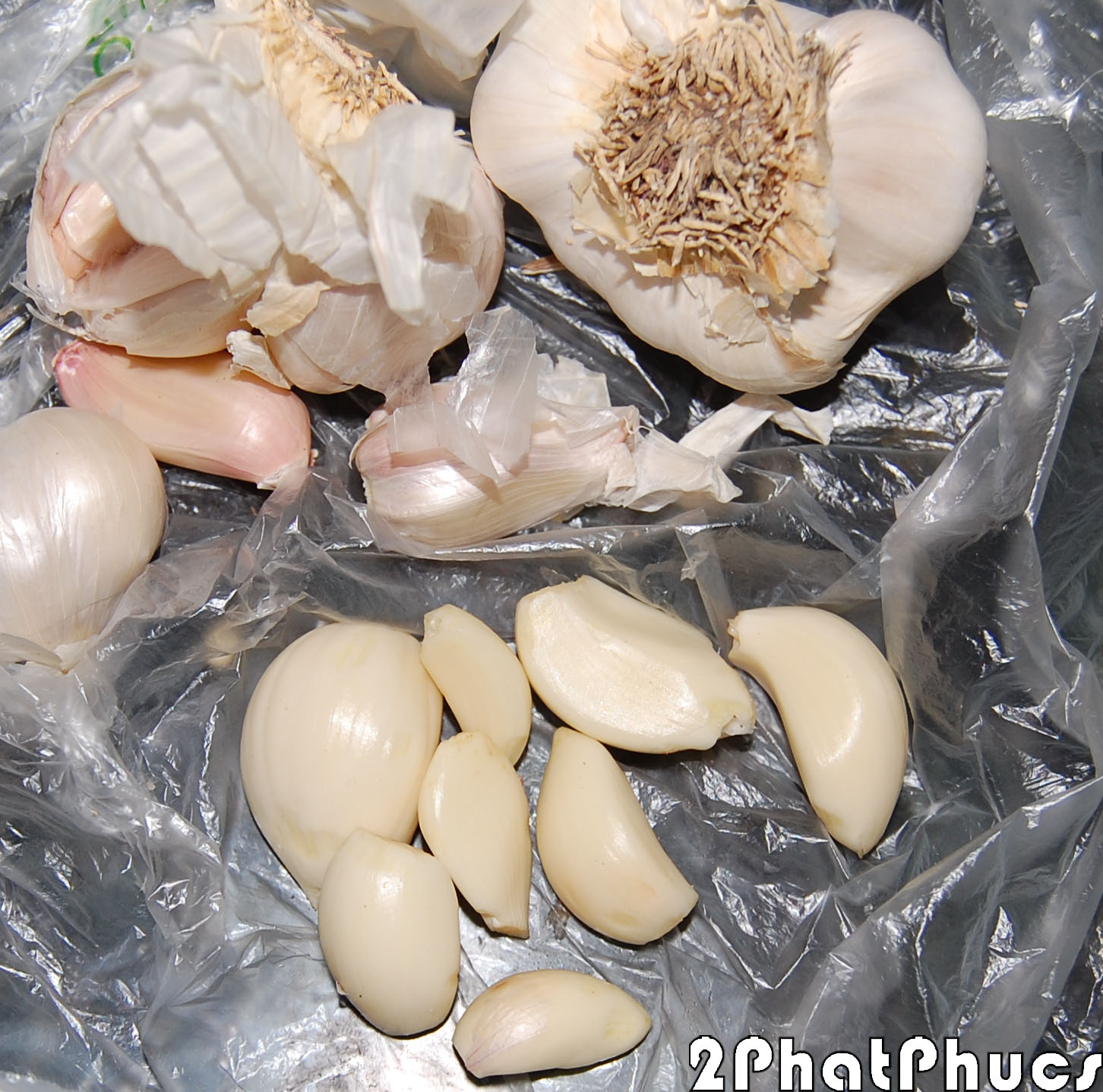 Garlic.