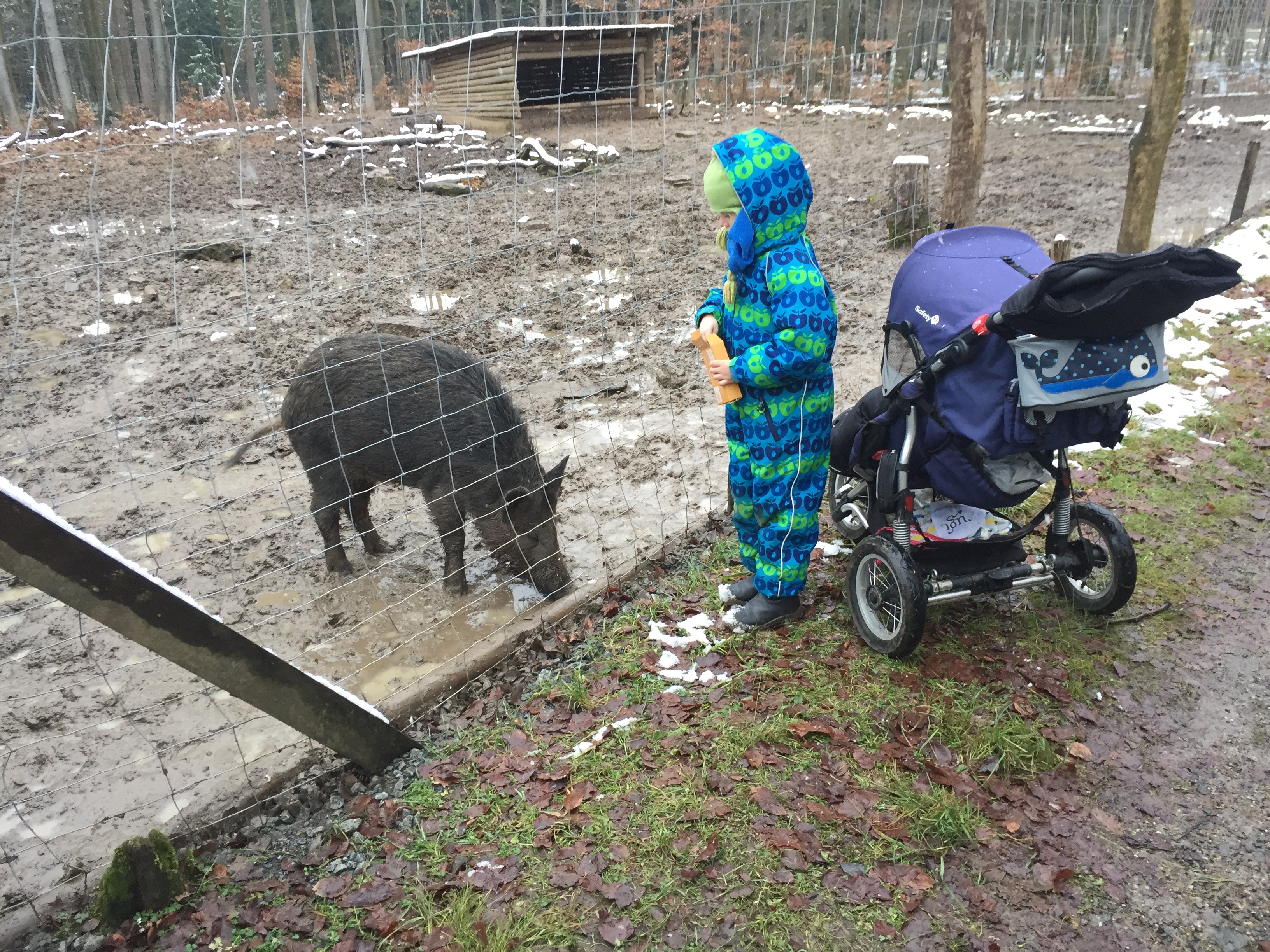 Odenwald Country Fair Vom 11 Bis 14 Juni 2020 Leider Abgesagt